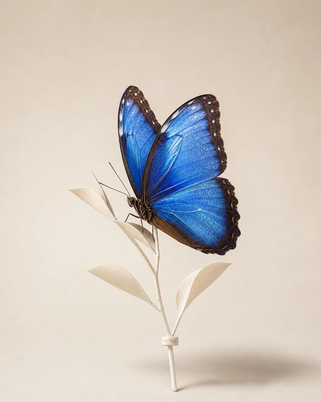 Blue Morpho Ivory Radiance — AI animal portraits prompt result