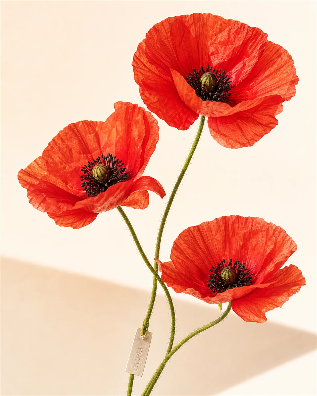 Yiluna Flower 4x5 20260614 29 Red Poppy Paper Cut