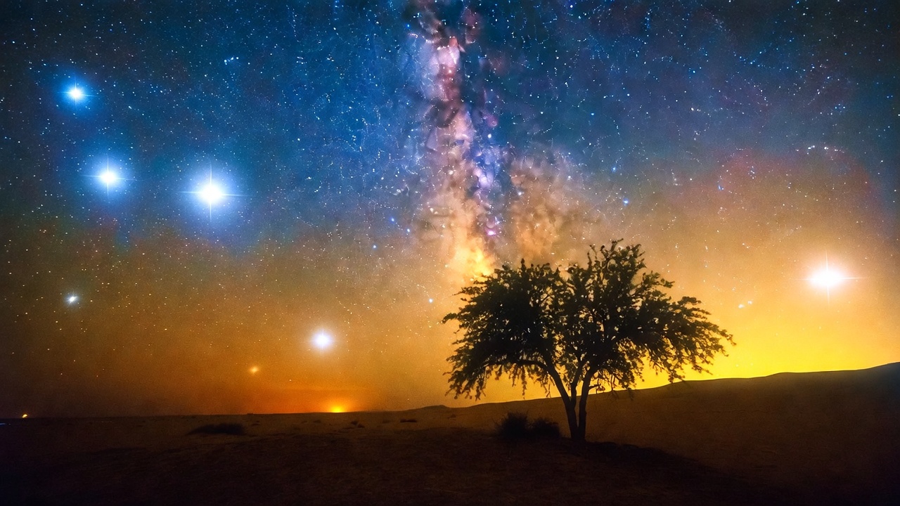 A Lone Tree Under A Starry Desert Sky — Landscape