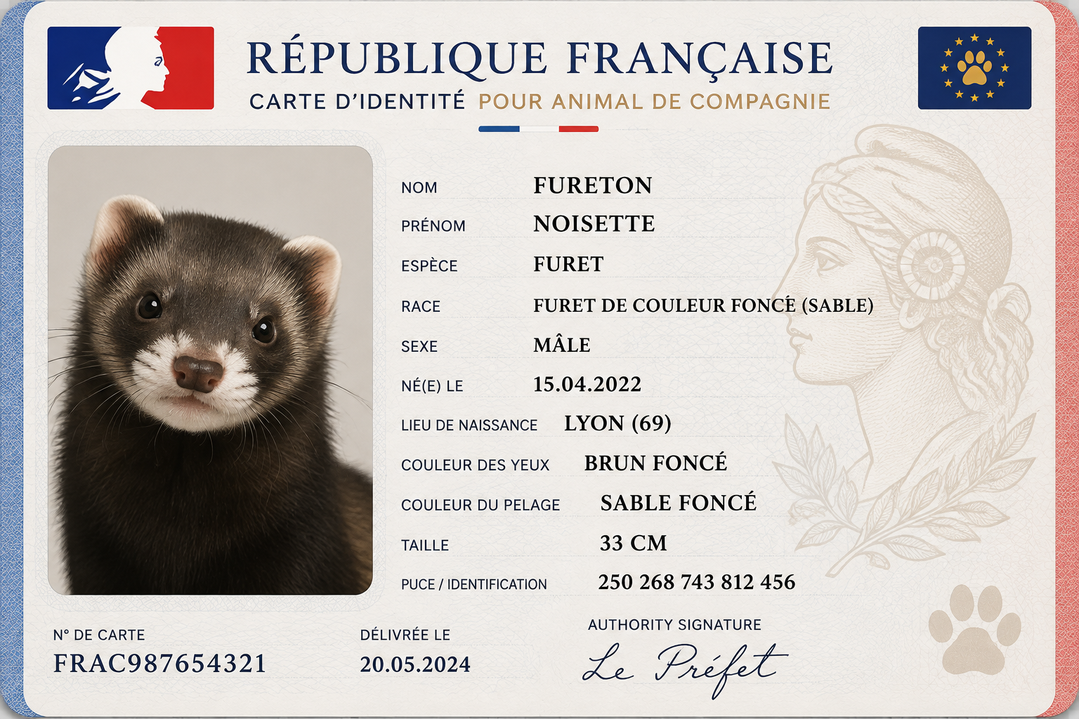 France ID Card