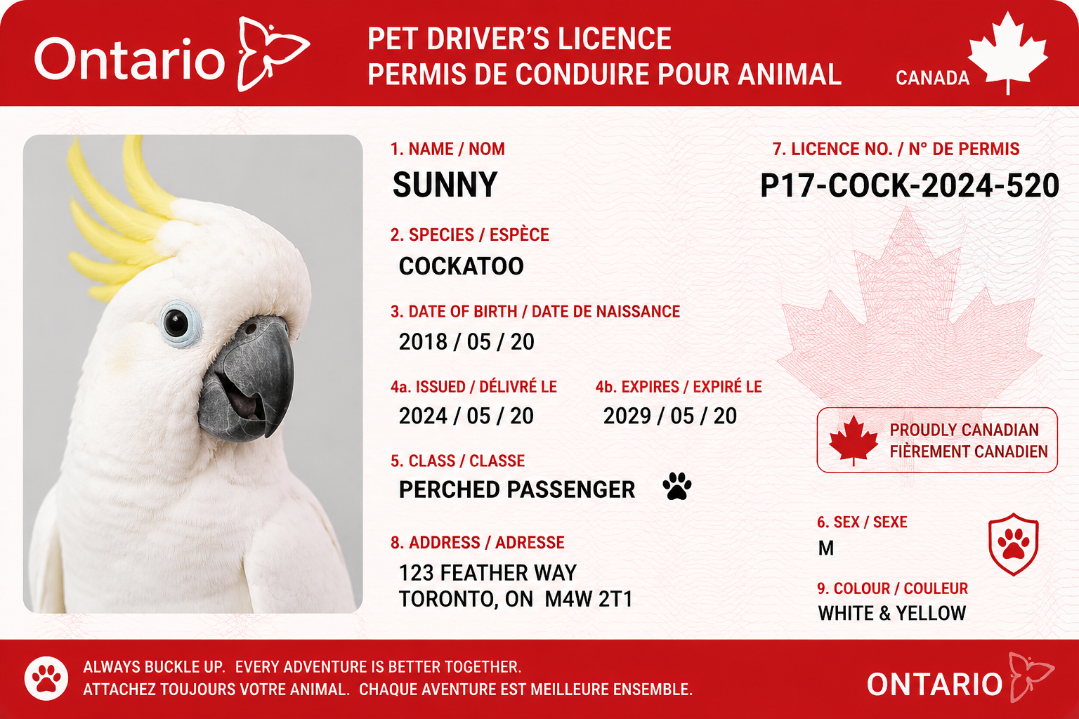 Canada Driver's License