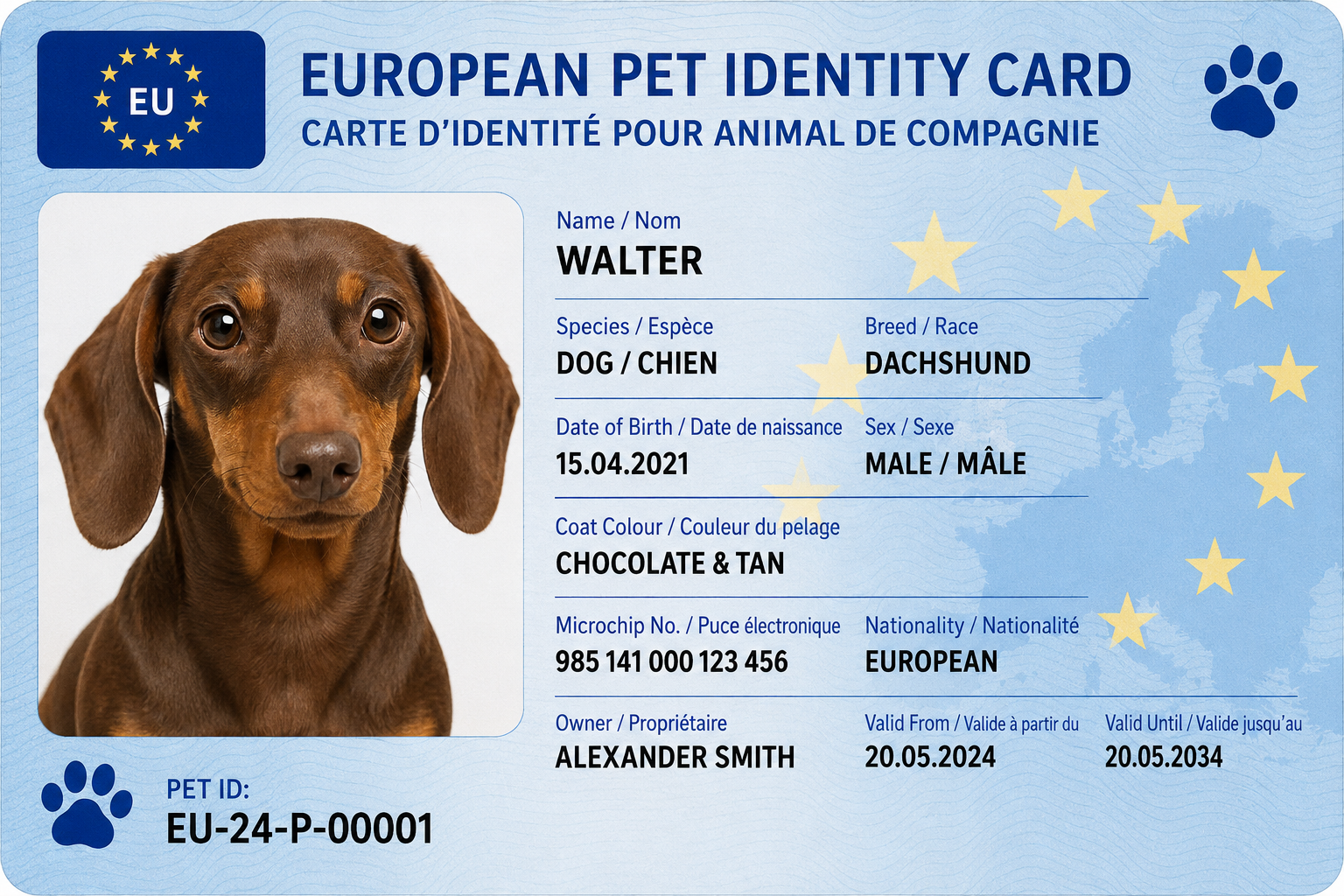 EU ID Card