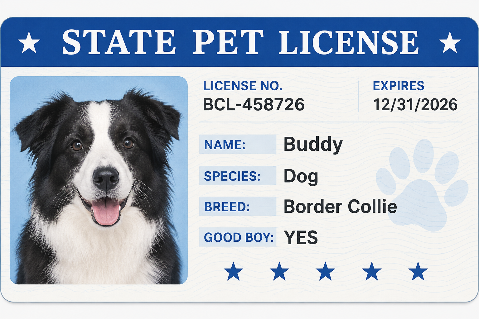 USA Driver's License