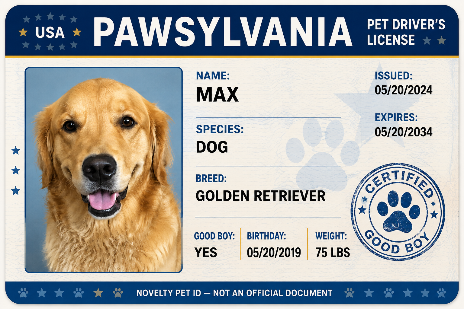 Generated pet ID card