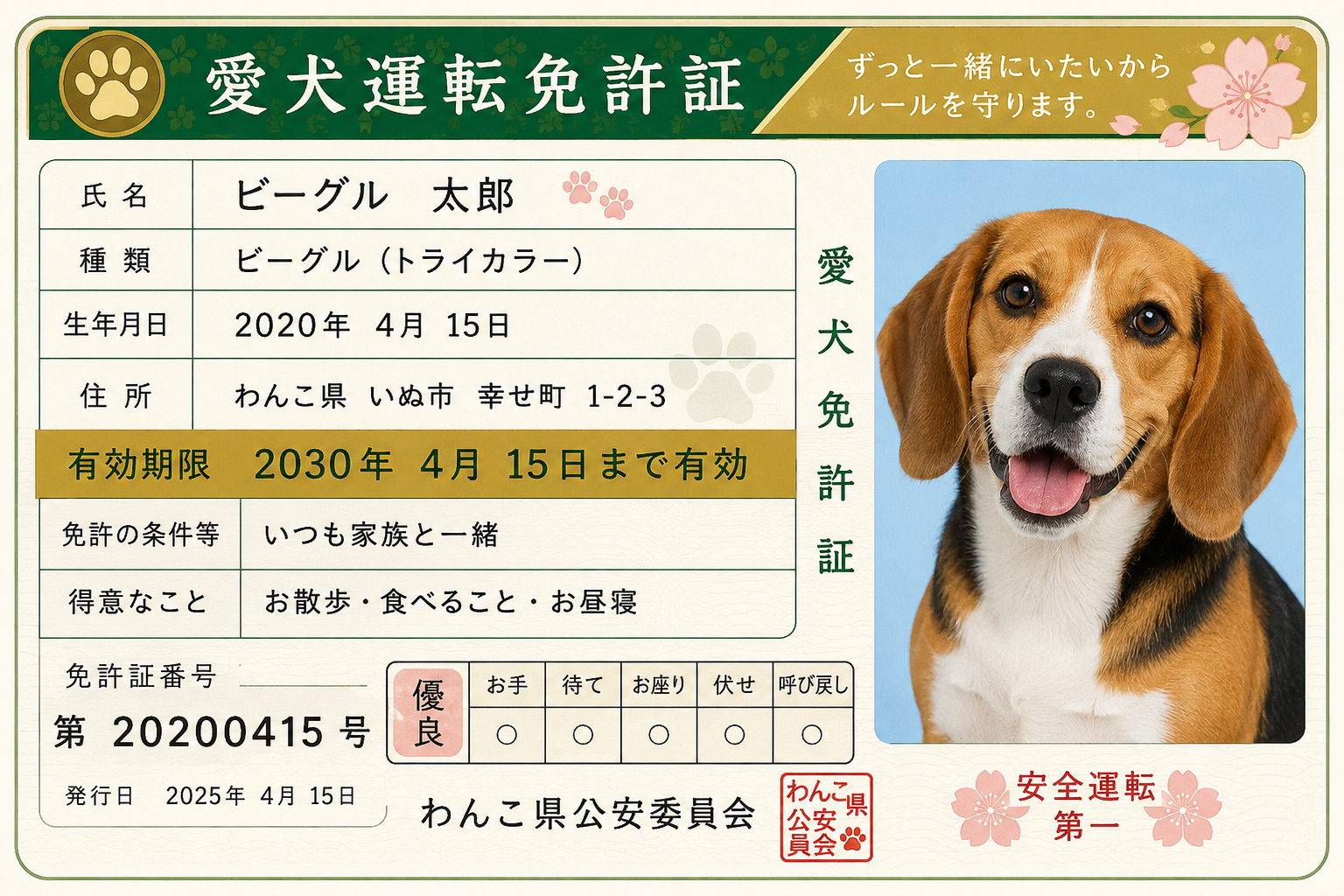 Japan Driver's License