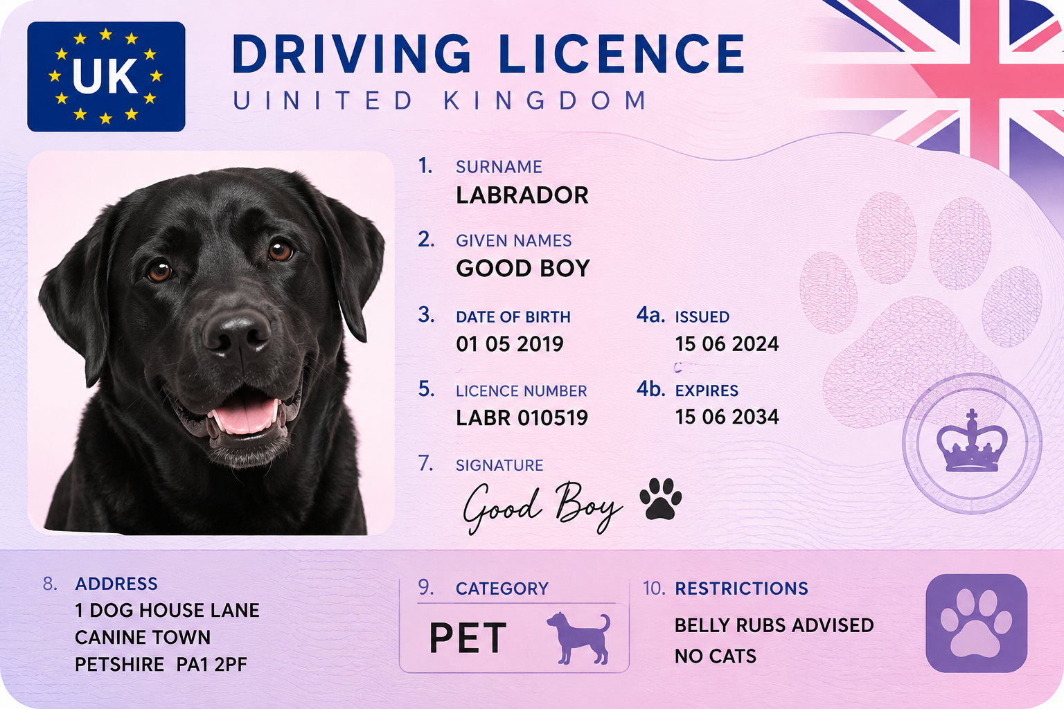 UK Driver's License