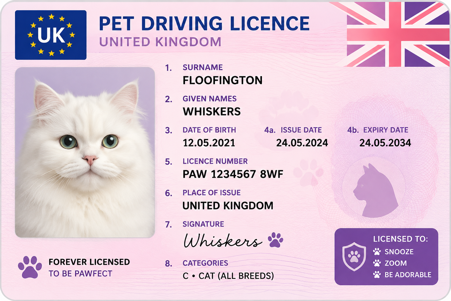 UK Driver's License
