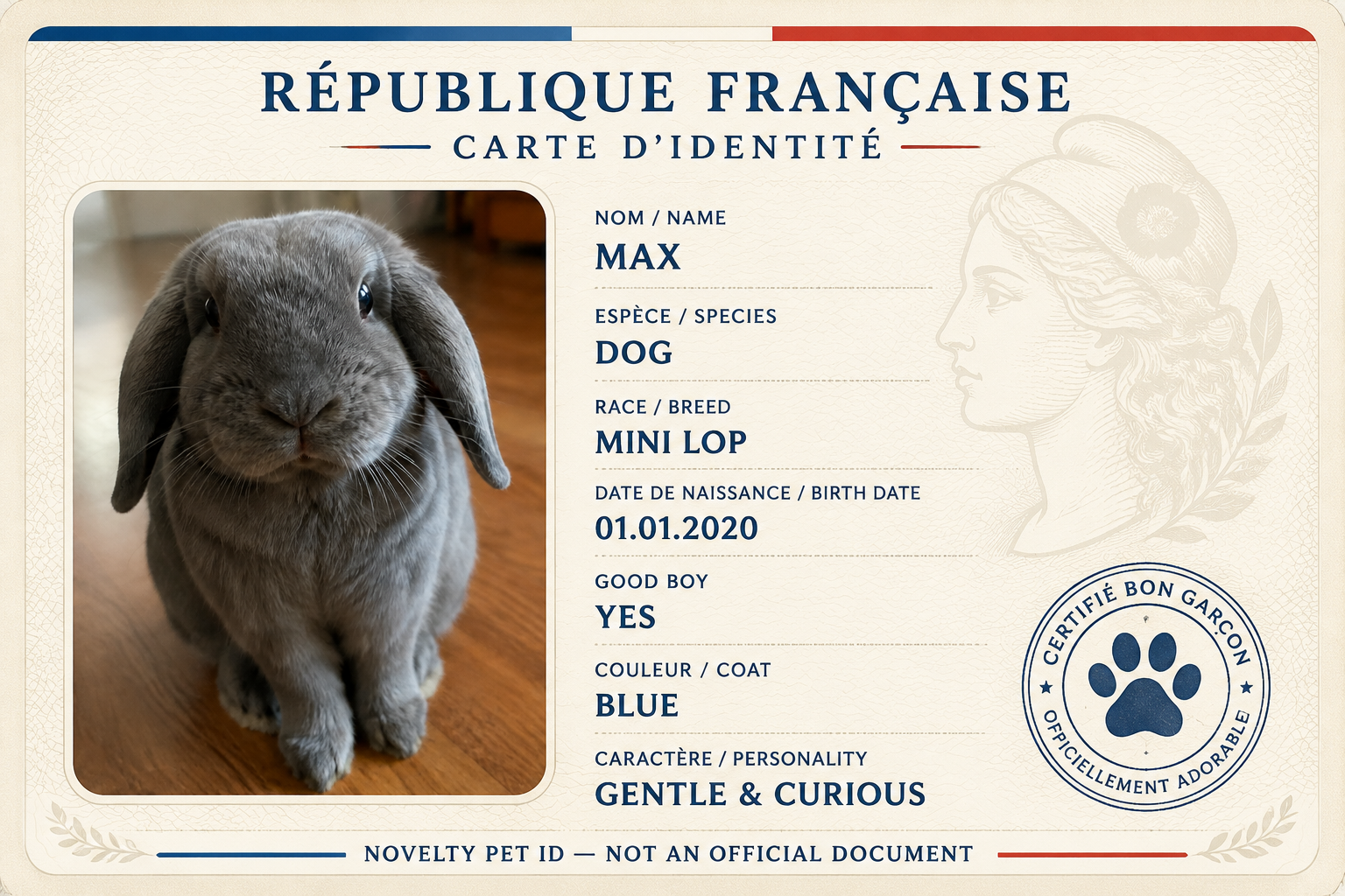 Generated pet ID card