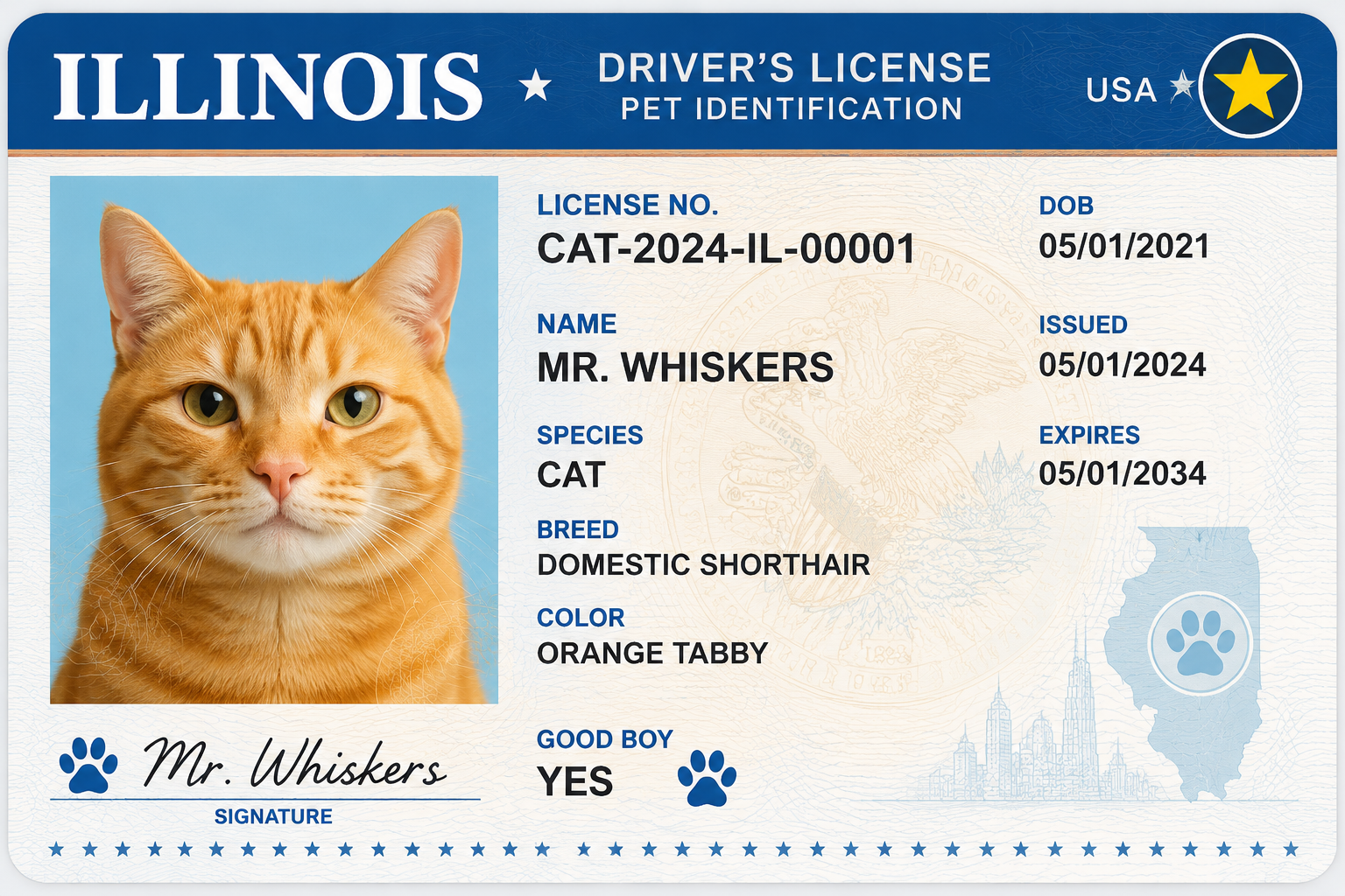 USA Driver's License