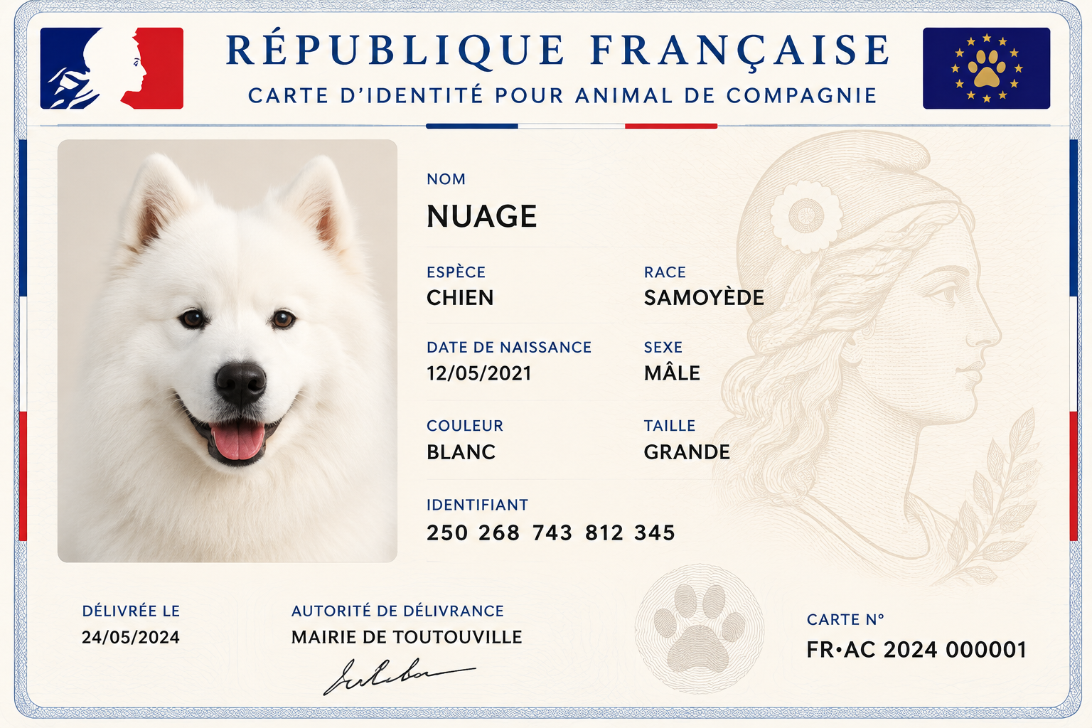France ID Card