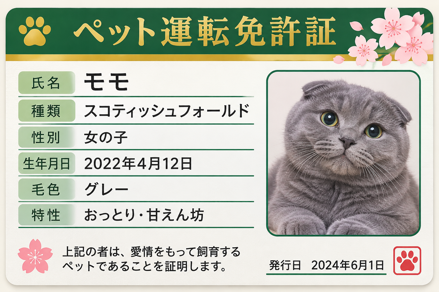 Japan Driver's License