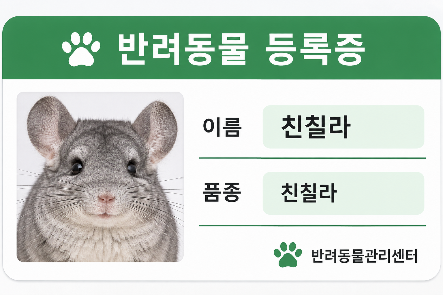 Korea ID Card