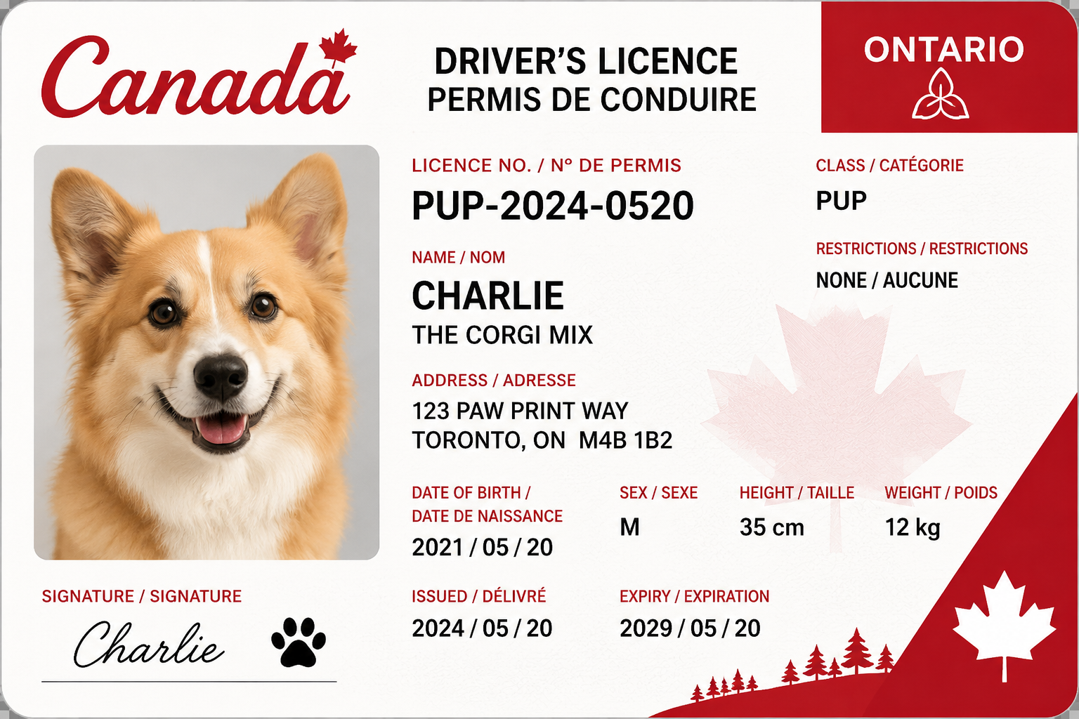 Canada Driver's License