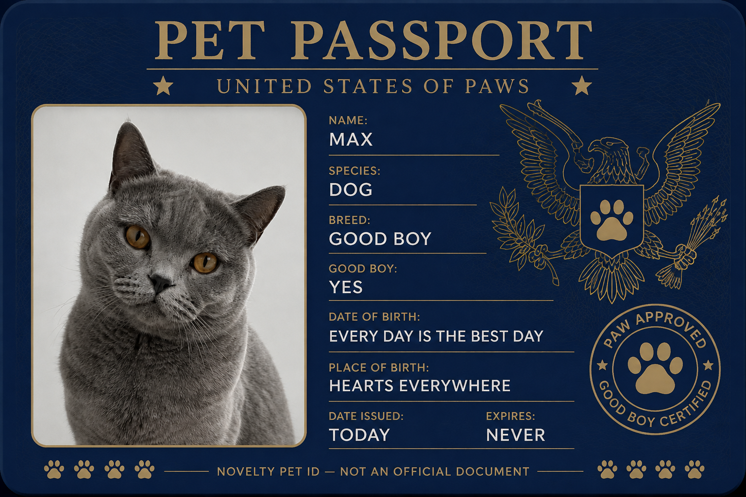 Generated pet ID card